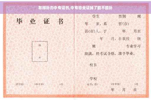怎样补办中专证书,中专毕业证掉了能不能补