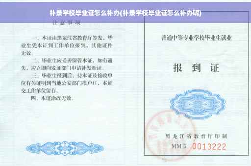 补录学校毕业证怎么补办(补录学校毕业证怎么补办呢)
