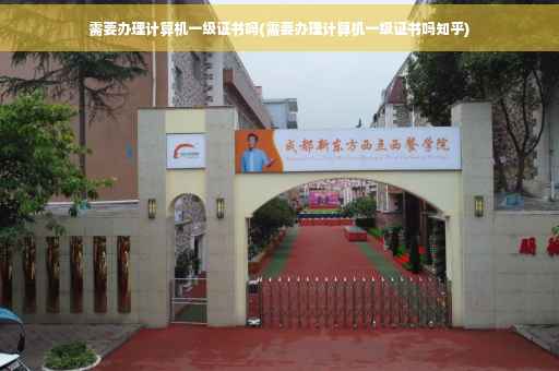 需要办理计算机一级证书吗(需要办理计算机一级证书吗知乎)