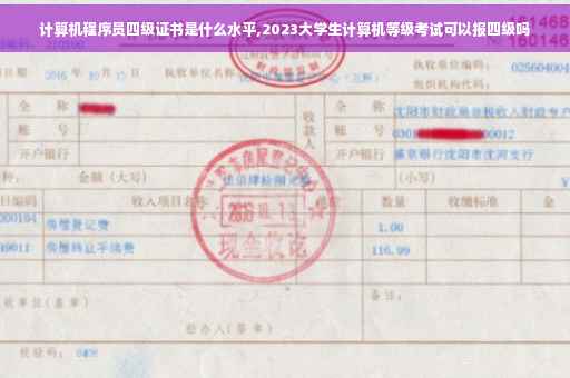 计算机程序员四级证书是什么水平,2023大学生计算机等级考试可以报四级吗