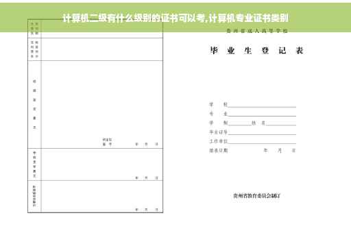 计算机二级有什么级别的证书可以考,计算机专业证书类别