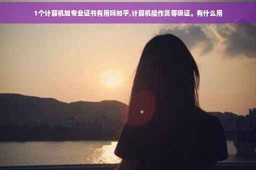1个计算机加专业证书有用吗知乎,计算机操作员等级证。有什么用