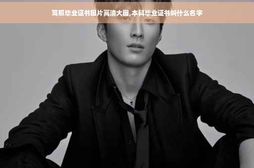 驾照毕业证书图片高清大图,本科毕业证书叫什么名字