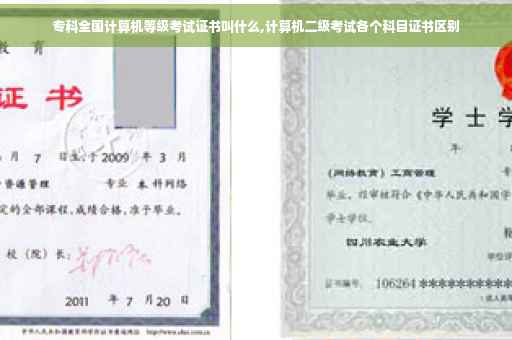 专科全国计算机等级考试证书叫什么,计算机二级考试各个科目证书区别