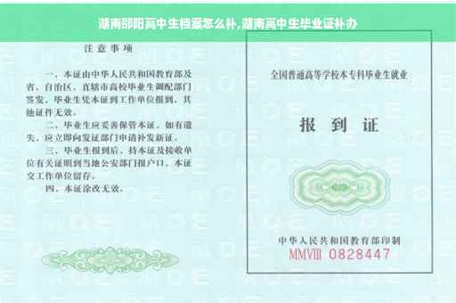 湖南邵阳高中生档案怎么补,湖南高中生毕业证补办