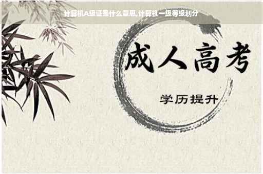 计算机A级证是什么意思,计算机一级等级划分