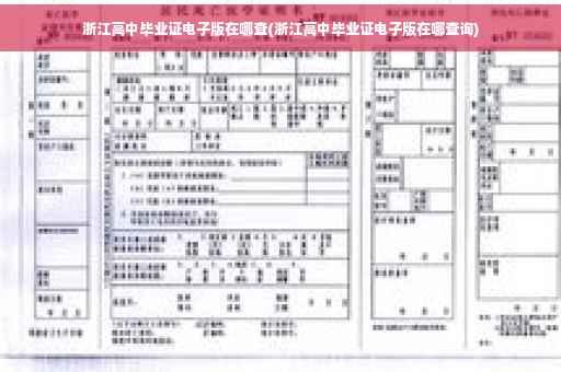 浙江高中毕业证电子版在哪查(浙江高中毕业证电子版在哪查询)