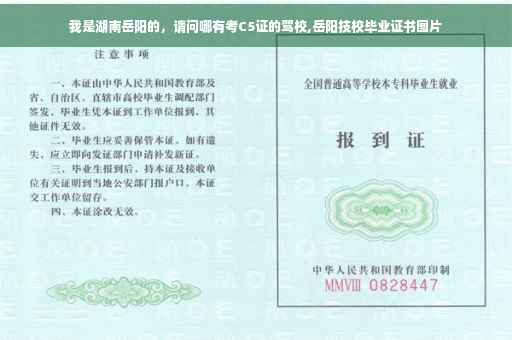 我是湖南岳阳的，请问哪有考C5证的驾校,岳阳技校毕业证书图片