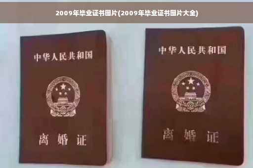 2009年毕业证书图片(2009年毕业证书图片大全)