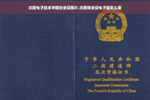 沈阳电子技术学院毕业证图片,沈阳就业证电子版怎么查