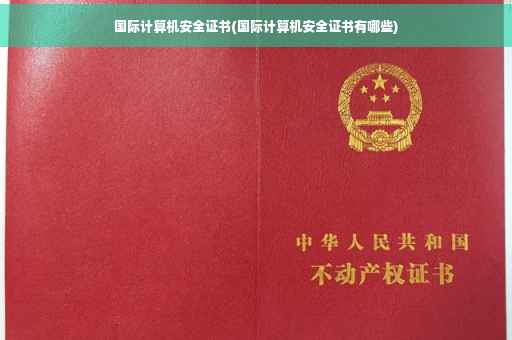 国际计算机安全证书(国际计算机安全证书有哪些)