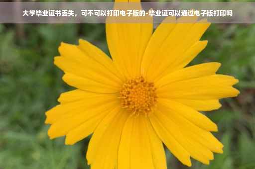 大学毕业证书丢失，可不可以打印电子版的-毕业证可以通过电子版打印吗