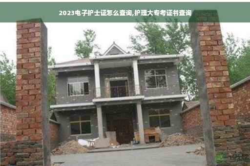 2023电子护士证怎么查询,护理大专考证书查询