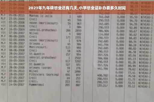 2023年九年级毕业还有几天,小学毕业证补办要多久时间