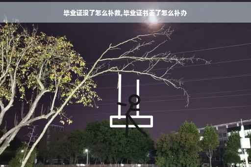 毕业证没了怎么补救,毕业证书丢了怎么补办