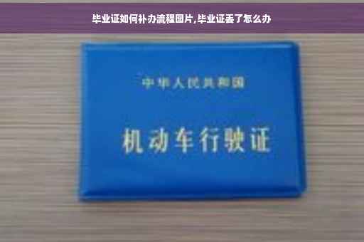 毕业证如何补办流程图片,毕业证丢了怎么办