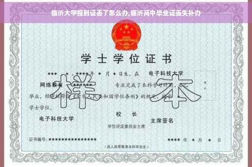 临沂大学报到证丢了怎么办,临沂高中毕业证丢失补办