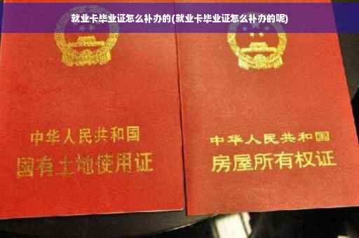 就业卡毕业证怎么补办的(就业卡毕业证怎么补办的呢)