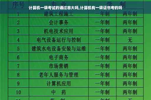 计算机一级考试的通过率大吗,计算机有一级证书考的吗