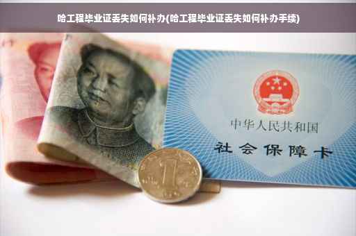 哈工程毕业证丢失如何补办(哈工程毕业证丢失如何补办手续)