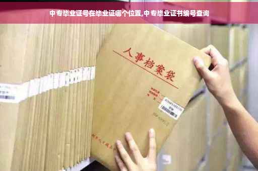 中专毕业证号在毕业证哪个位置,中专毕业证书编号查询