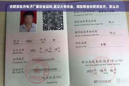 合肥京东方电子厂要毕业证吗,武汉大专毕业,现在想去合肥京东方,怎么办 合肥京东方电子厂要毕业证吗,武汉大专毕业,现在想去合肥京东方,怎么办