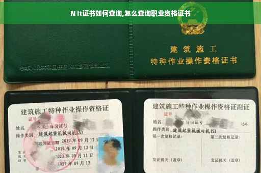 N it证书如何查询,怎么查询职业资格证书