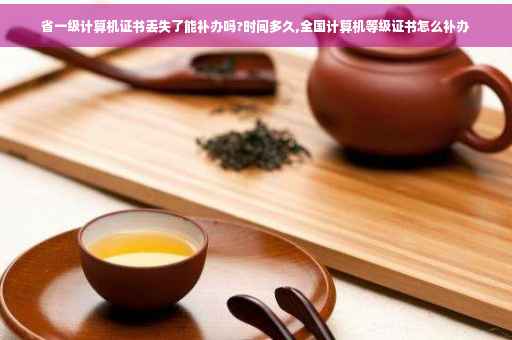 省一级计算机证书丢失了能补办吗?时间多久,全国计算机等级证书怎么补办