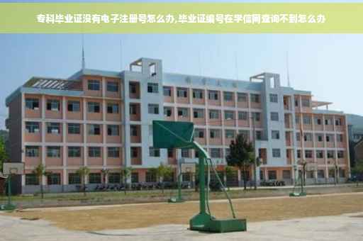 专科毕业证没有电子注册号怎么办,毕业证编号在学信网查询不到怎么办