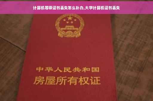 计算机等级证书丢失怎么补办,大学计算机证书丢失