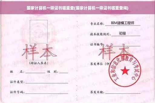 国家计算机一级证书哪里查(国家计算机一级证书哪里查询)