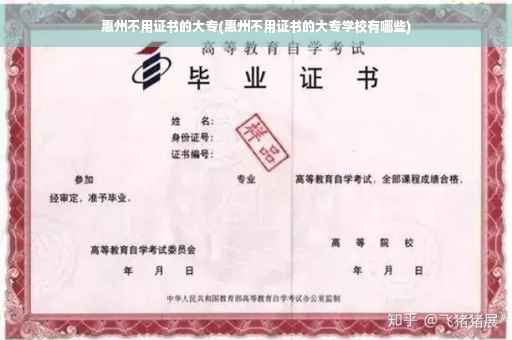 惠州不用证书的大专(惠州不用证书的大专学校有哪些)