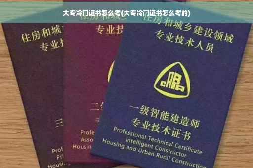 大专冷门证书怎么考(大专冷门证书怎么考的)
