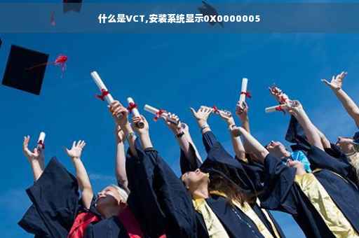 什么是VCT,安装系统显示0X0000005