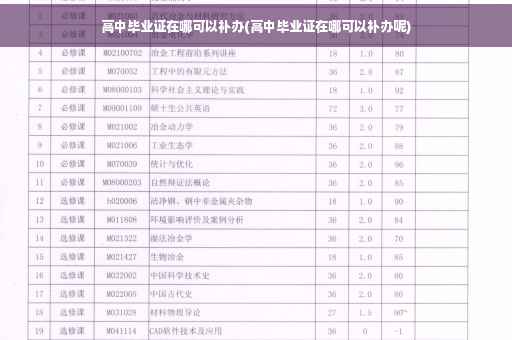 高中毕业证在哪可以补办(高中毕业证在哪可以补办呢)