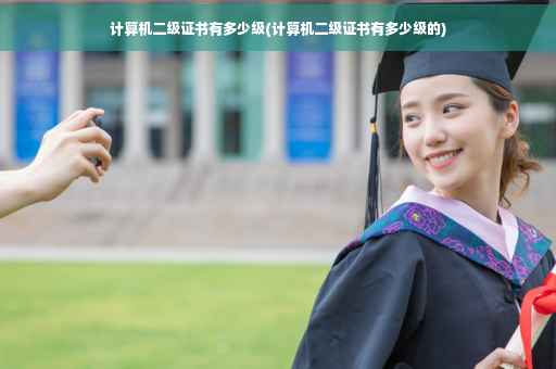 计算机二级证书有多少级(计算机二级证书有多少级的)
