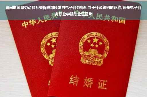请问由国家劳动和社会保障部颁发的电子商务师相当于什么级别的职称,郑州电子商务职业学院毕业证图片