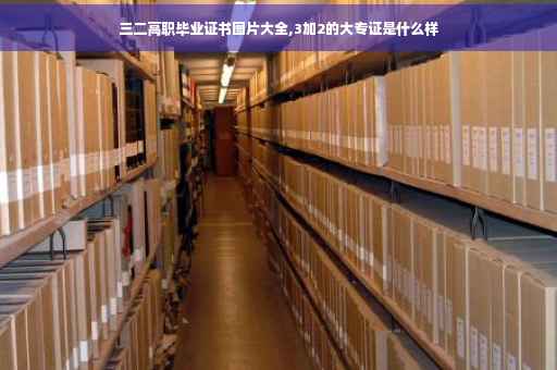 三二高职毕业证书图片大全,3加2的大专证是什么样