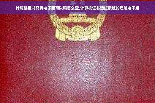 计算机证书只有电子版可以吗怎么查,计算机证书选纸质版的还是电子版
