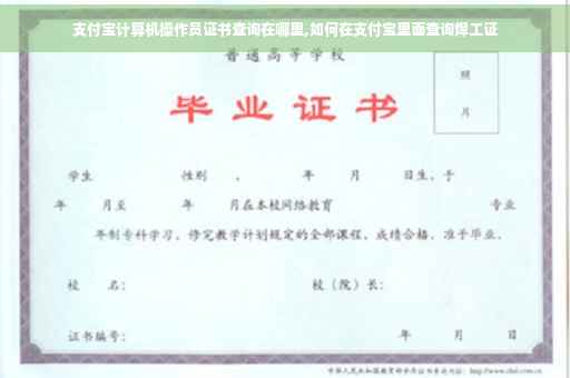 支付宝计算机操作员证书查询在哪里,如何在支付宝里面查询焊工证