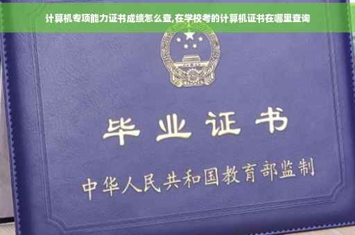 计算机专项能力证书成绩怎么查,在学校考的计算机证书在哪里查询