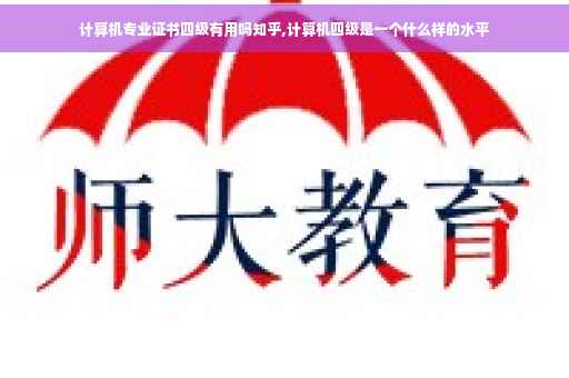 计算机专业证书四级有用吗知乎,计算机四级是一个什么样的水平