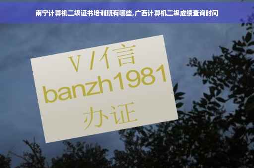 南宁计算机二级证书培训班有哪些,广西计算机二级成绩查询时间