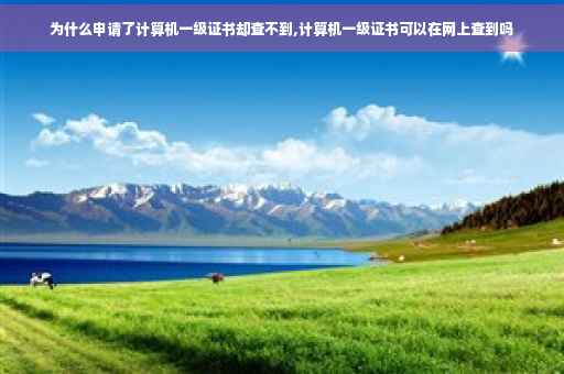 为什么申请了计算机一级证书却查不到,计算机一级证书可以在网上查到吗