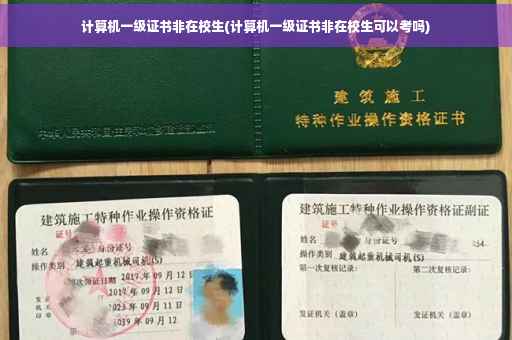 计算机一级证书非在校生(计算机一级证书非在校生可以考吗)