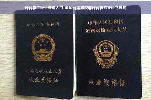 计算机二级证查询入口-全国高等学校非计算机专业证书查询