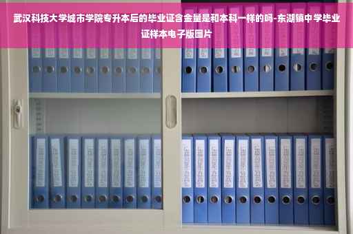 武汉科技大学城市学院专升本后的毕业证含金量是和本科一样的吗-东湖镇中学毕业证样本电子版图片