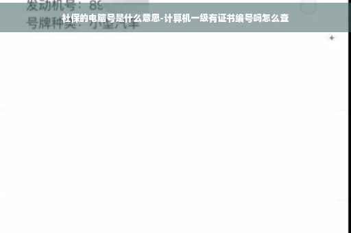 社保的电脑号是什么意思-计算机一级有证书编号吗怎么查