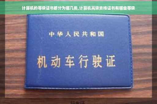 计算机的等级证书都分为哪几类,计算机高级资格证书有哪些等级