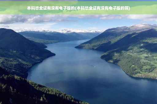 本科毕业证有没有电子版的(本科毕业证有没有电子版的啊) 本科毕业证有没有电子版的(本科毕业证有没有电子版的啊)